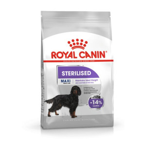Royal Canin CCN Maxi Sterilised Karma Sucha Dla Psów Dorosłych Ras Dużych,