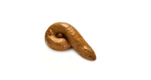 Sztuczna Kupa Gówno Stolec Kawał Prezent Prank