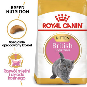 ROYAL CANIN British Shorthair Kitten Karma Sucha Dla Kociąt Do 12 miesiąca 