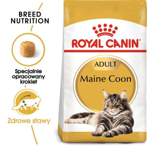 ROYAL CANIN Maine Coon Adult Karma Sucha Dla Kotów Dorosłych Rasy Maine Coo