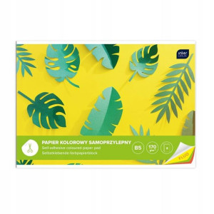Papier Kolorowy Samoprzylepny Fluo B5 170G 8K