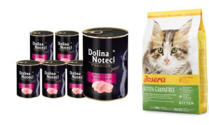 Dolina Noteci Premium Junior dla kota bogata w indyka 12x400g + JOSERA Kitt