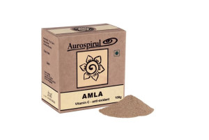 Amla Proszek (100 g)
