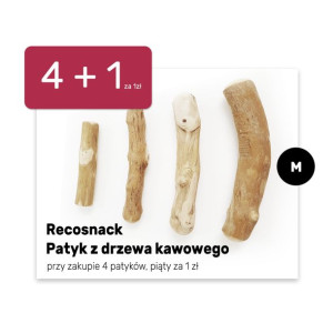 Stick/Patyk z drzewa kawowego M 4+1