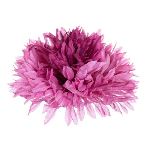 Chryzantema Aster główka mauve