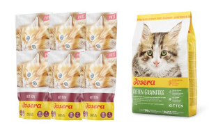 JOSERA Pate Kitten z olejem z łososia 85g + JOSERA Kitten Grainfree 400g