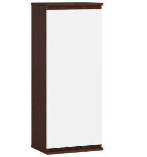 Witryna - Szafka Wisząca W 40 Cm Clp Wenge / Biała