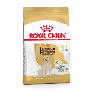 ROYAL CANIN Labrador Retriever Adult 5+ Karma Sucha Dla Psów Dorosłych Rasy
