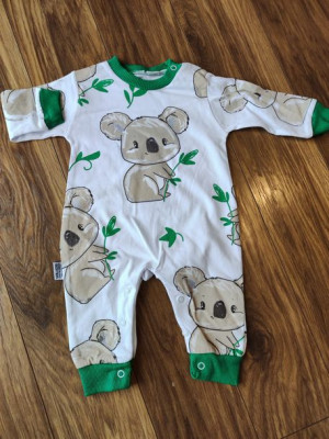 Pajac koala