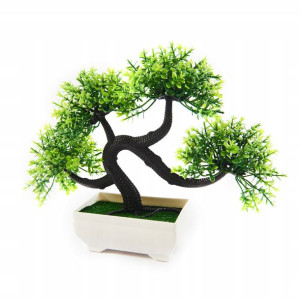 Drzewko Bonsai Roślina Ozdobna 20cm Różne Kolory