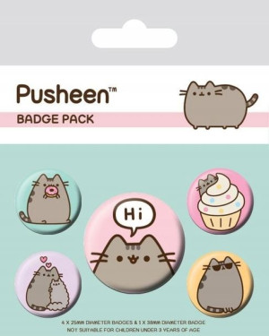 Przypinki Pusheen 5szt Kot Pushen