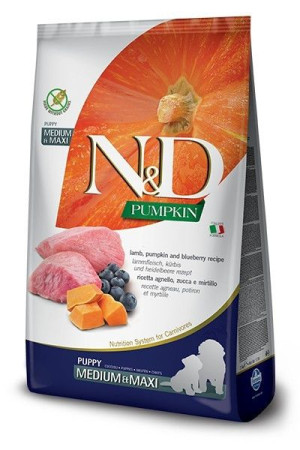 Farmina N&D Pumpkin sucha karma dla szczeniąt ras średnich i dużych z jagni