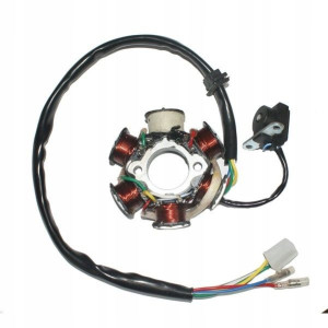 Stator Iskrownik Zapłon Do Zipp Salmo 50