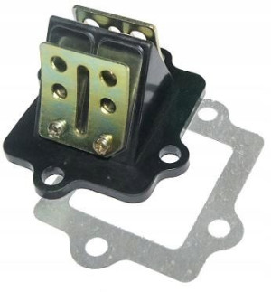 Membrana Uszczelka Rex Scooter 50