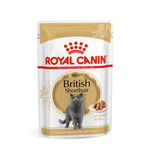 ROYAL CANIN British Shorthair Adult Saszetka Karma Mokra W Sosie Dla Kotów