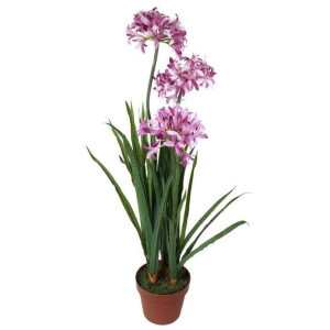 Kwiat W Doniczce Drzewko Sztuczne Kwiat Czosnku 85 Cm