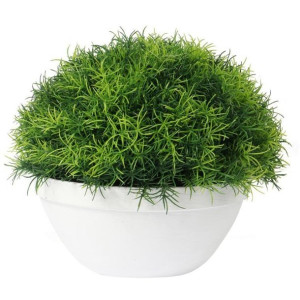 Kula Trawy W Białej Donicy 25 Cm