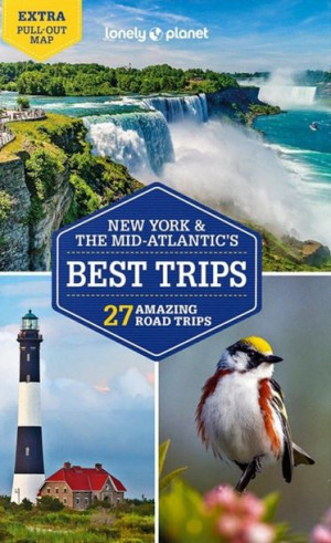 NOWY JORK USA przewodnik LONELY PLANET 2022