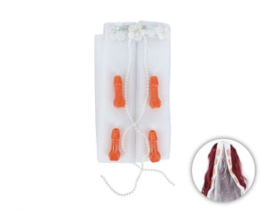 Fun Products - Veil With Penis