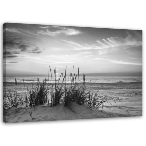 OBRAZ NA PŁÓTNIE Trawa na Plaży szary 60x40