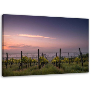OBRAZ CANVAS Winogrona Winnica Fioletowy 90x60