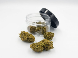 Susz Konopny Amnesia Greenhouse Cbd Premium 2g