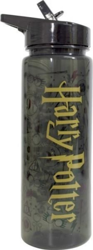 Kids Euroswan Bidon 750ml Harry Potter