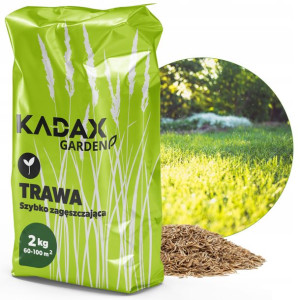 Trawa Uniwersalna Szybko Zagęszczająca 2kg 80m2