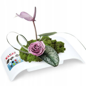 Doniczka Osłonka Donica Ikebana Kolory Kompozycja
