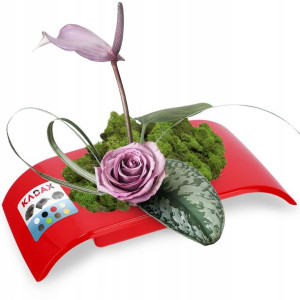 Doniczka Osłonka Donica Ikebana Kolory Kompozycja