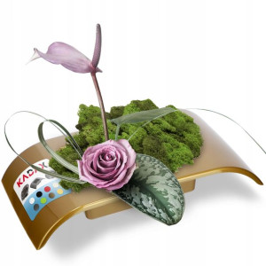 Doniczka Osłonka Donica Ikebana Kolory Kompozycja