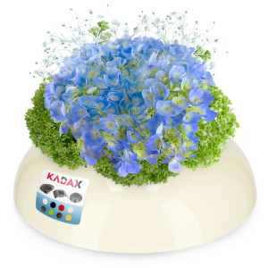 Doniczka Ikebana Osłonka Kompozycja Kolory 9,5 Cm