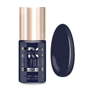 Lakier hybrydowy PRO Hybrid Colour Gel Polish 221 Glitter