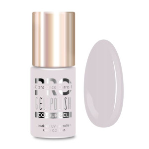 Lakier hybrydowy PRO Hybrid Colour Gel Polish  317