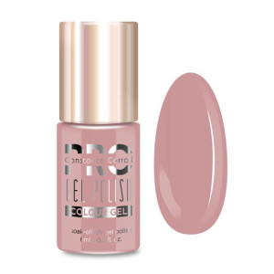 Lakier hybrydowy PRO Hybrid Colour Gel Polish 48