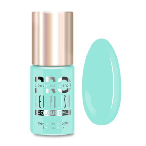 Lakier hybrydowy PRO Hybrid Colour Gel Polish 60