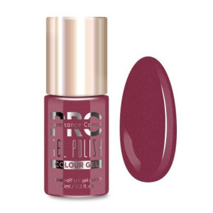 Lakier hybrydowy PRO Hybrid Colour Gel Polish 261