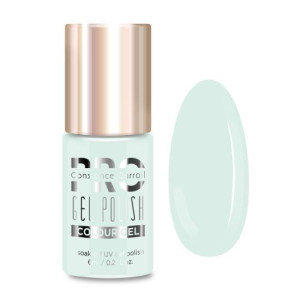 Lakier hybrydowy PRO Hybrid Colour Gel Polish 298