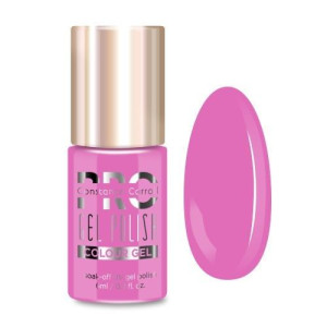 Lakier hybrydowy PRO Hybrid Colour Gel Polish 148
