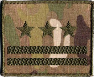 Dystynkcja WP multicam US-22 stopień Pułkownik