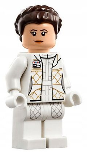 Leia Figurka Klocki Star Wars + Obrazek Lego
