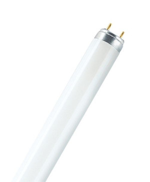 Świetlówka G13 36W/76 NATURA 4050300010526