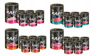 Nowe smaki Rafi Cat 24 x 400g puszki dla kota