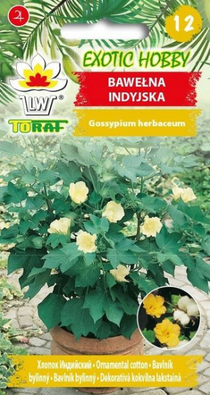 EXOTIC HOBBY Bawełna Indyjska