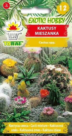 EXOTIC HOBBY Kaktusy mieszanka