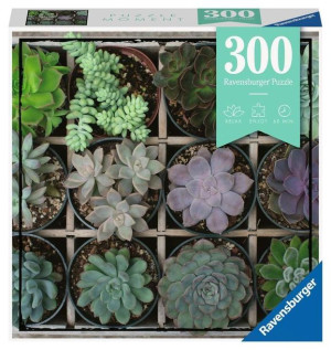 Ravensburger Puzzle 300el Moment Kwiaty Kaktusy