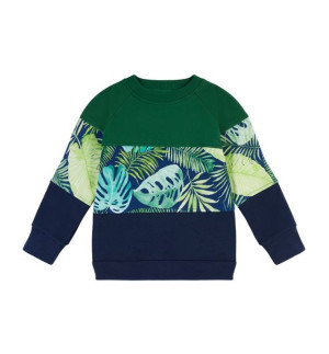 Bluza dresowa prosta 3 kolory Monstera 128