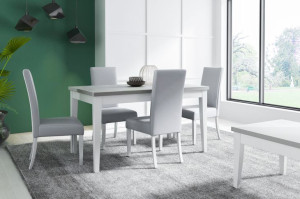 Zestaw DELTA  stół prostokątny 170/210x90x77 + 6 krzeseł