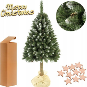 Choinka Sosna Diamentowa Na Pniu 160 Cm + Gratis