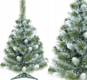 Choinka Sosna Anna Białe Końce - 70 Cm